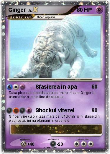 Pokemon Ginger