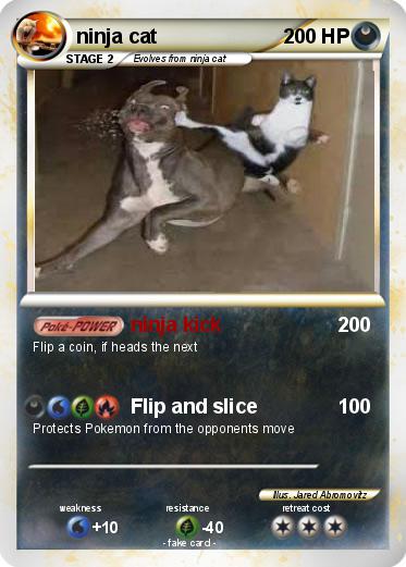 Pokemon ninja cat
