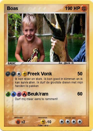 Pokemon Boas