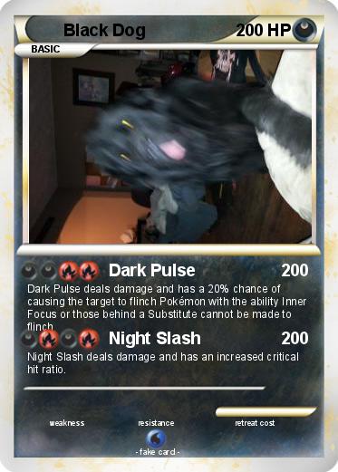 Pokemon Black Dog