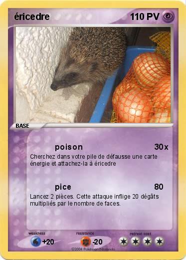 Pokemon éricedre