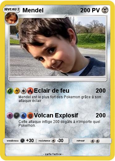 Pokemon Mendel