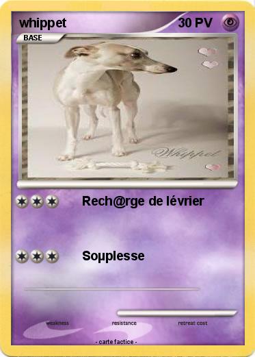 Pokemon whippet