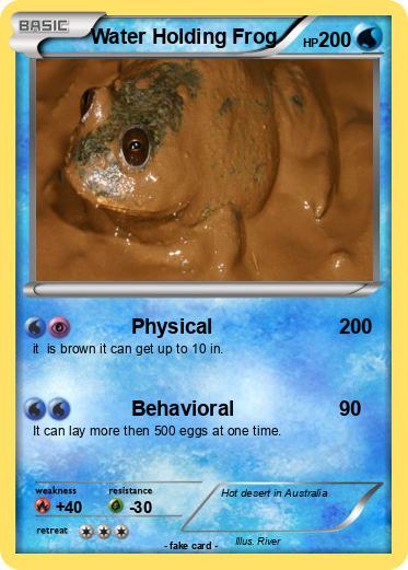 Pokemon Water Holding Frog