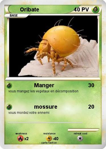 Pokemon Oribate