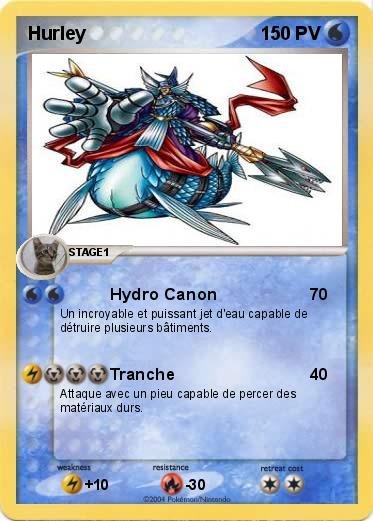 Pokemon Hurley