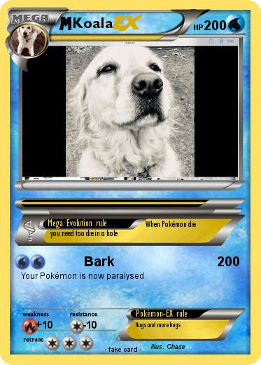 Pokemon Koala