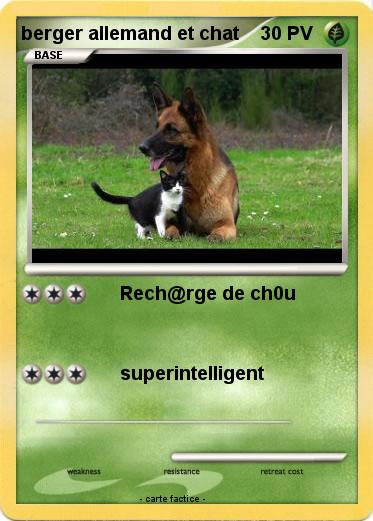 Pokemon berger allemand et chat