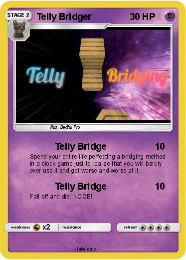 Pokemon Telly Bridger