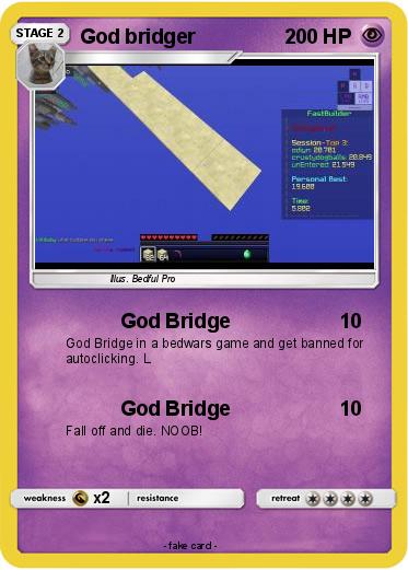 Pokemon God bridger