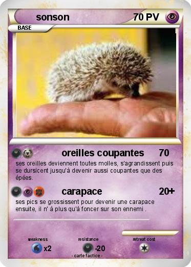 Pokemon sonson