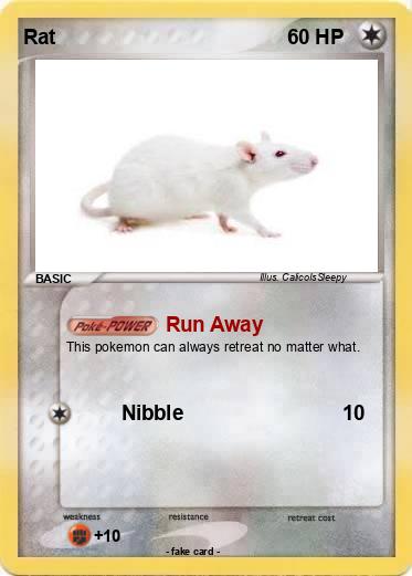 Pokemon Rat