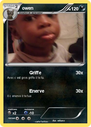 Pokemon owen