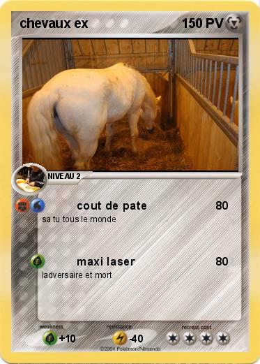 Pokemon chevaux ex