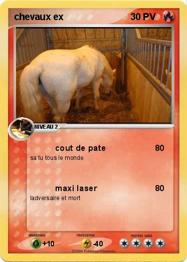 Pokemon chevaux ex