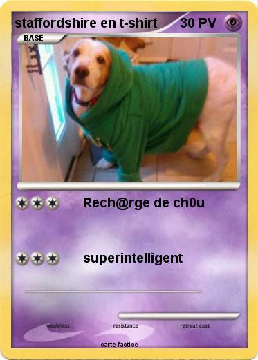 Pokemon staffordshire en t-shirt