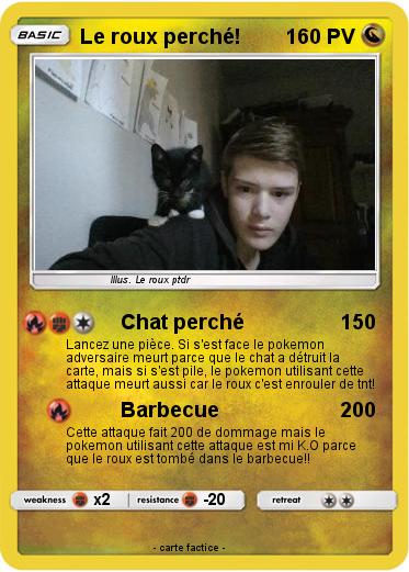 Pokemon Le roux perché!