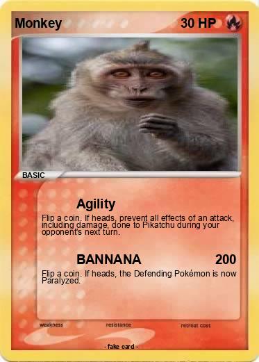 Pokemon Monkey