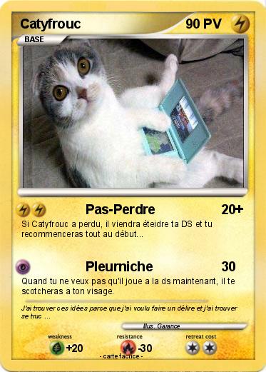 Pokemon Catyfrouc