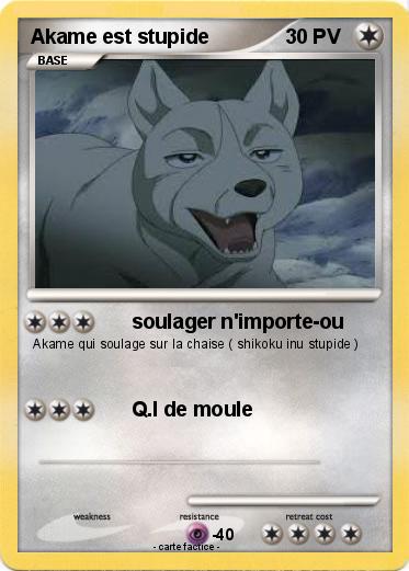 Pokemon Akame est stupide