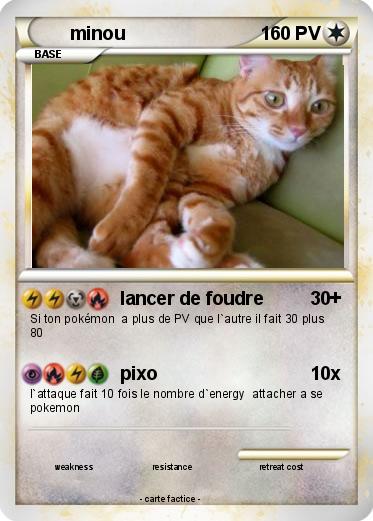Pokemon minou