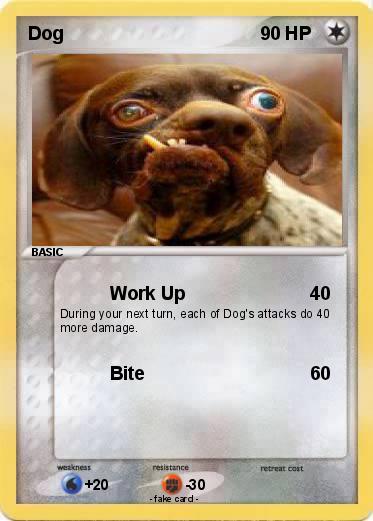 Pokemon Dog