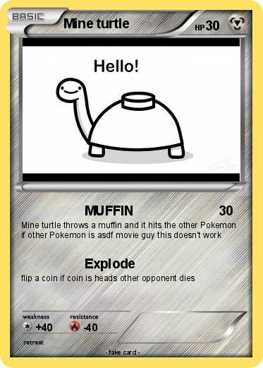 Pokemon Mine turtle
