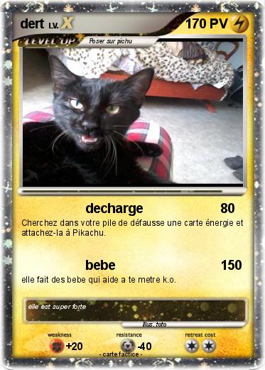 Pokemon dert
