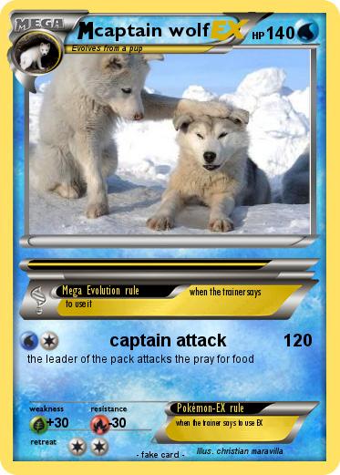 Pokemon captain wolf
