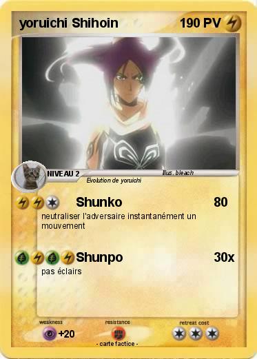 Pokemon yoruichi Shihoin