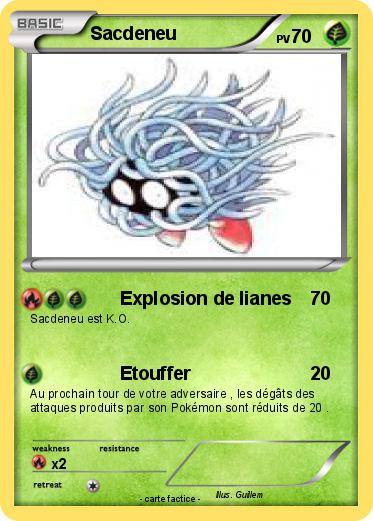 Pokemon Sacdeneu