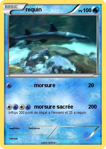 Pokemon requin