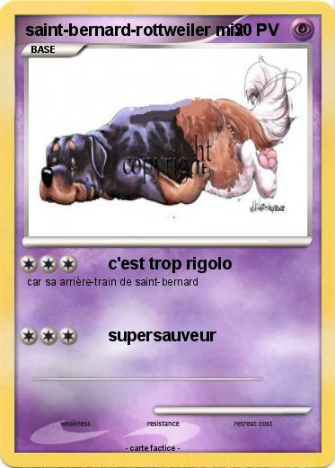 Pokemon saint-bernard-rottweiler mix