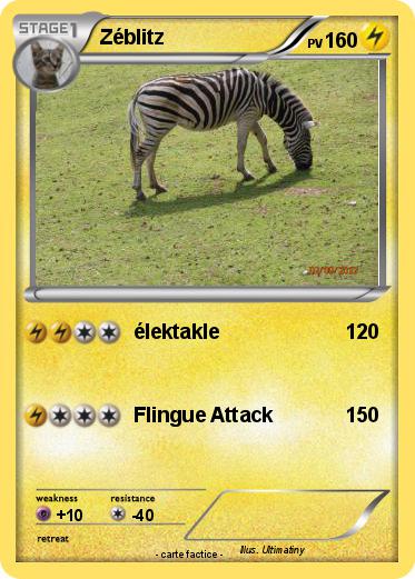Pokemon Zéblitz