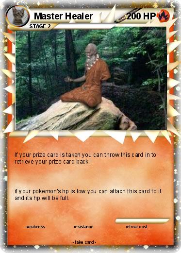 Pokemon Master Healer