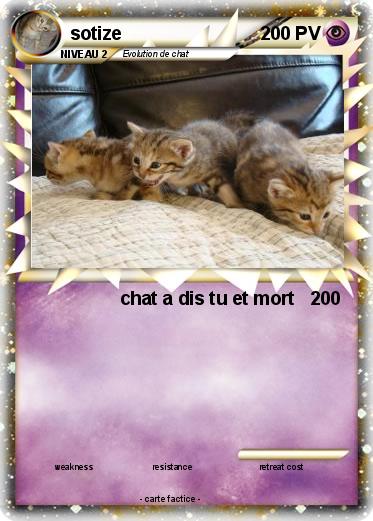 Pokemon sotize