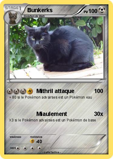 Pokemon Bunkerks