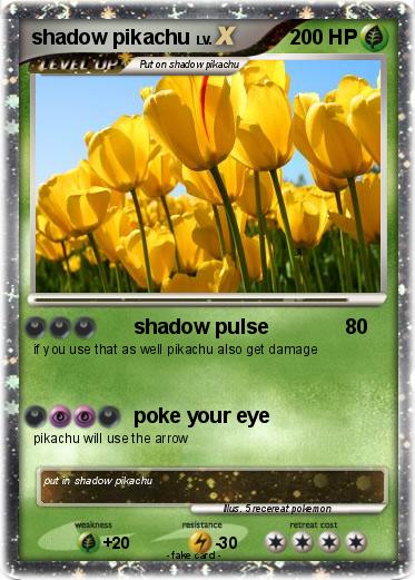 Pokemon shadow pikachu