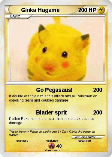 Pokemon Ginka Hagame