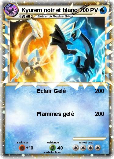 Pokemon Kyurem noir et blanc