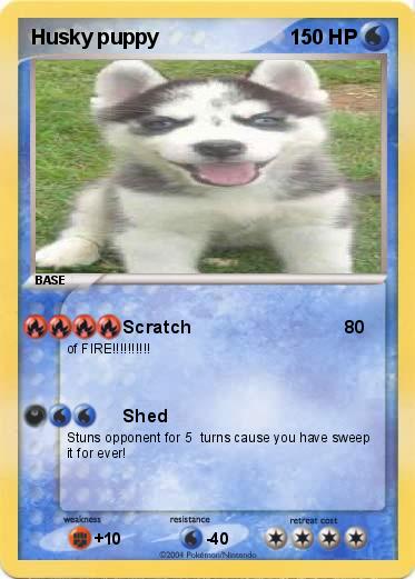 Pokemon Husky puppy