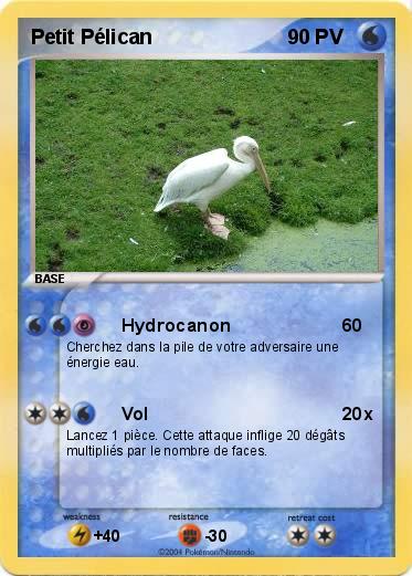 Pokemon Petit Pélican