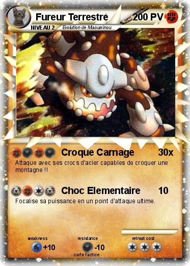Pokemon Fureur Terrestre