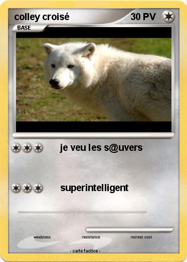 Pokemon colley croisé