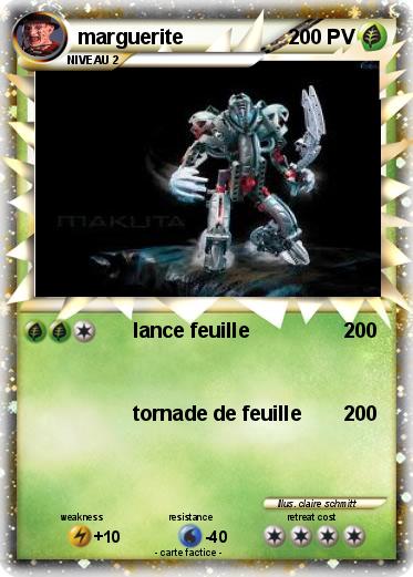 Pokemon marguerite