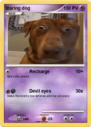 Pokemon Staring dog