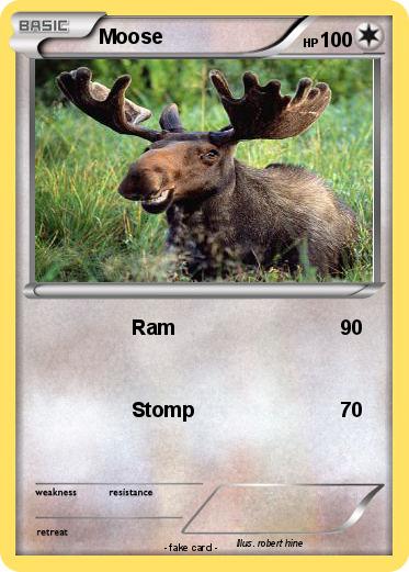 Pokemon Moose