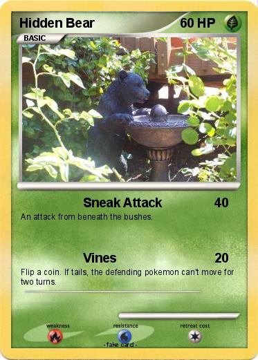 Pokemon Hidden Bear