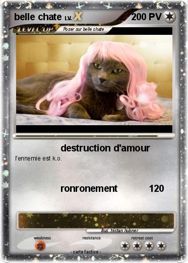 Pokemon belle chate