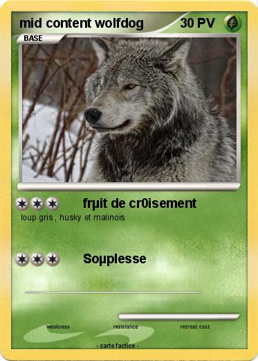 Pokemon mid content wolfdog